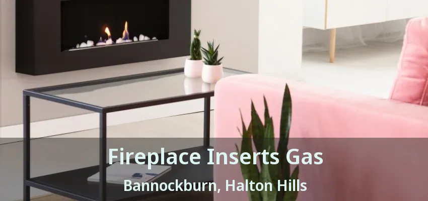 Fireplace Inserts Gas Bannockburn, Halton Hills - ON Fireplace Inserts Gas Bannockburn, Halton Hills - ON