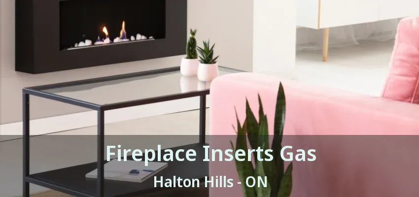 Fireplace Inserts Gas Halton Hills - ON Fireplace Inserts Gas Halton Hills - ON