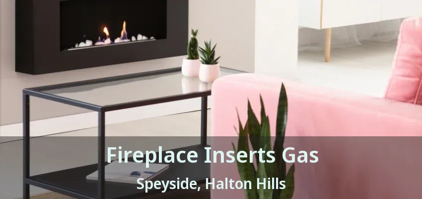 Fireplace Inserts Gas Speyside, Halton Hills - ON