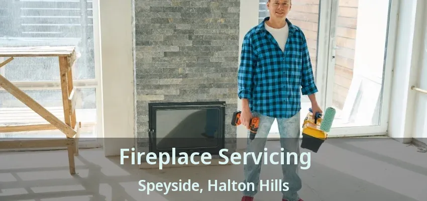 Fireplace Servicing Speyside, Halton Hills - ON
