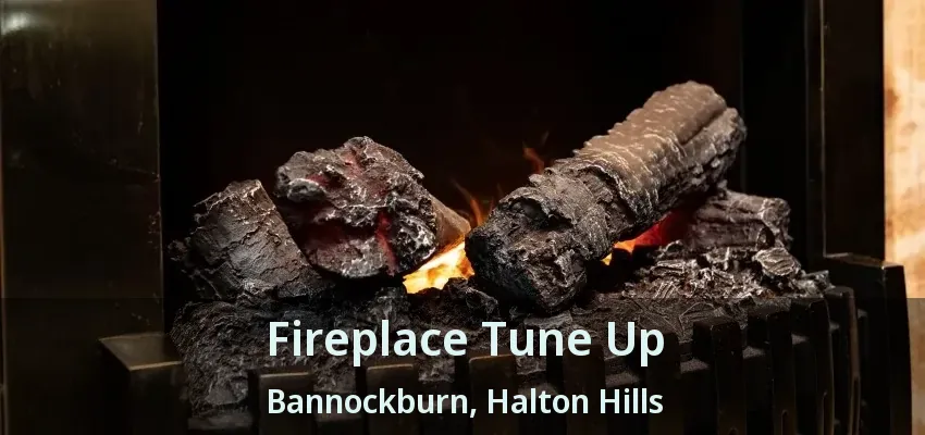 Fireplace Tune Up Bannockburn, Halton Hills - ON