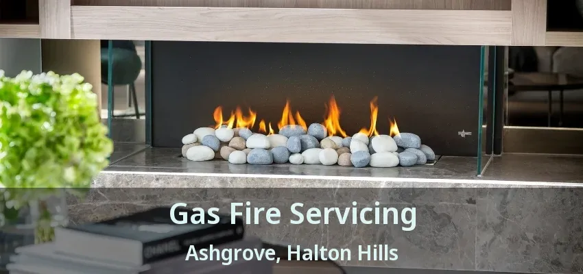 Gas Fire Servicing Ashgrove, Halton Hills - ON Gas Fire Servicing Ashgrove, Halton Hills - ON