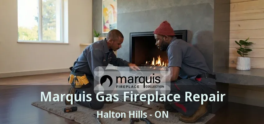 Marquis Gas Fireplace Repair Halton Hills - ON