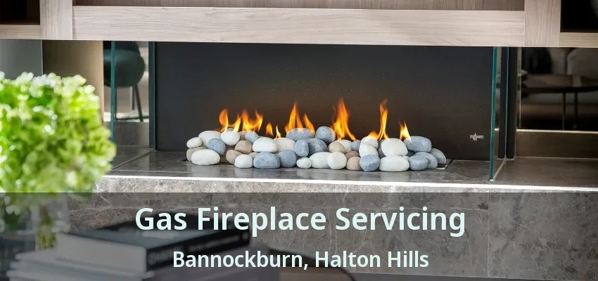 Gas Fireplace Servicing Bannockburn, Halton Hills - ON Gas Fireplace Servicing Bannockburn, Halton Hills - ON