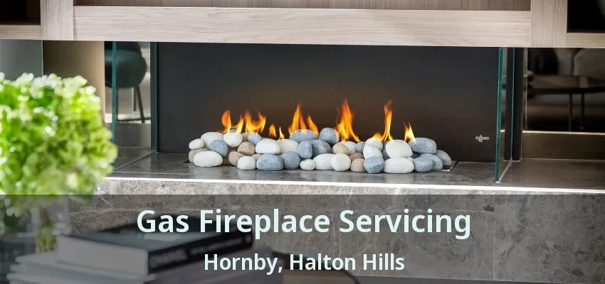 Gas Fireplace Servicing Hornby, Halton Hills - ON Gas Fireplace Servicing Hornby, Halton Hills - ON