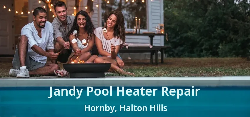 Jandy Pool Heater Repair Hornby, Halton Hills - ON Jandy Pool Heater Repair Hornby, Halton Hills - ON