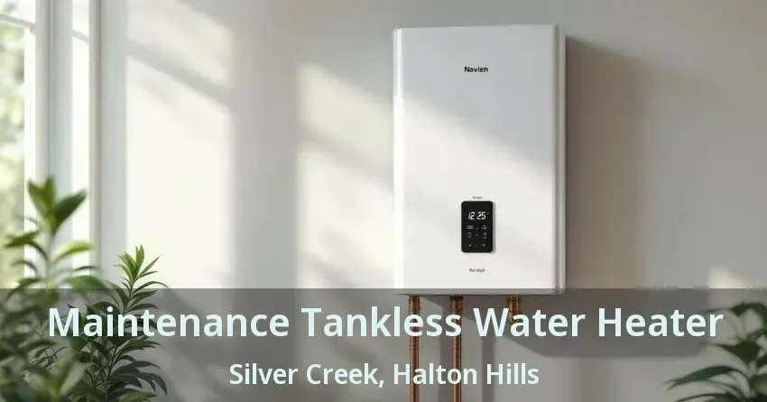 Maintenance Tankless Water Heater Silver Creek, Halton Hills - ON