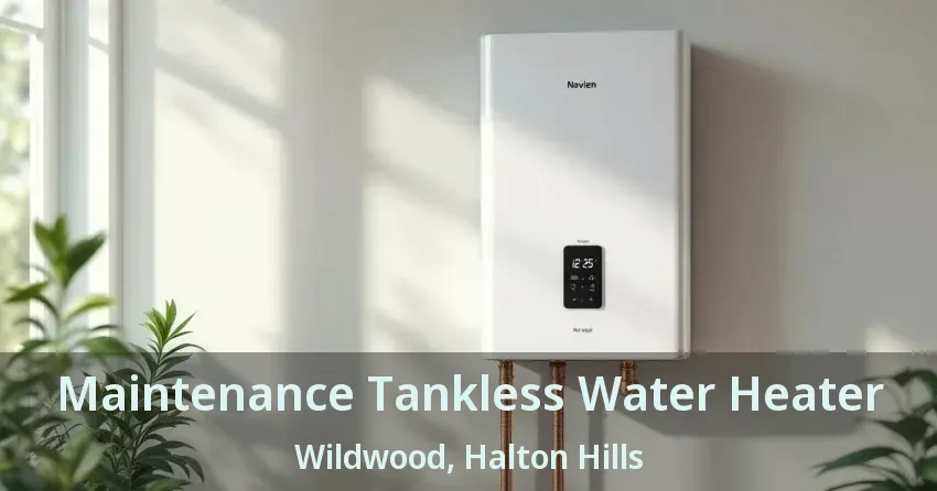 Maintenance Tankless Water Heater Wildwood, Halton Hills - ON