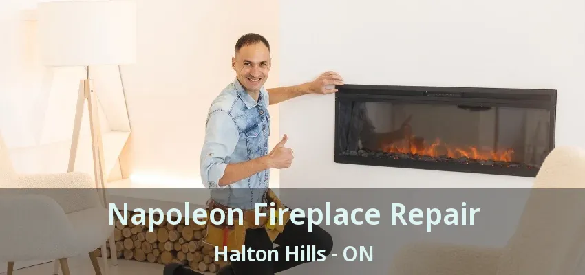 Napoleon Fireplace Repair Halton Hills - ON