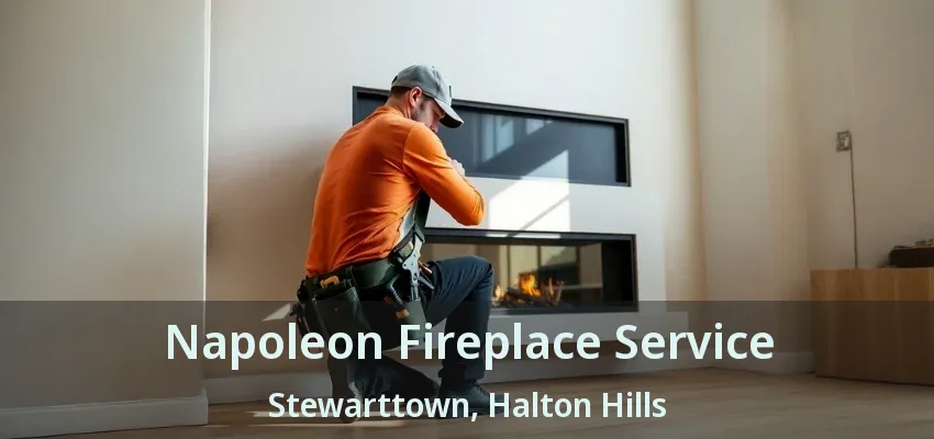 Napoleon Fireplace Service Stewarttown, Halton Hills - ON Napoleon Fireplace Service Stewarttown, Halton Hills - ON