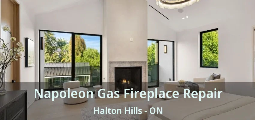 Napoleon Gas Fireplace Repair Halton Hills - ON Napoleon Gas Fireplace Repair Halton Hills - ON