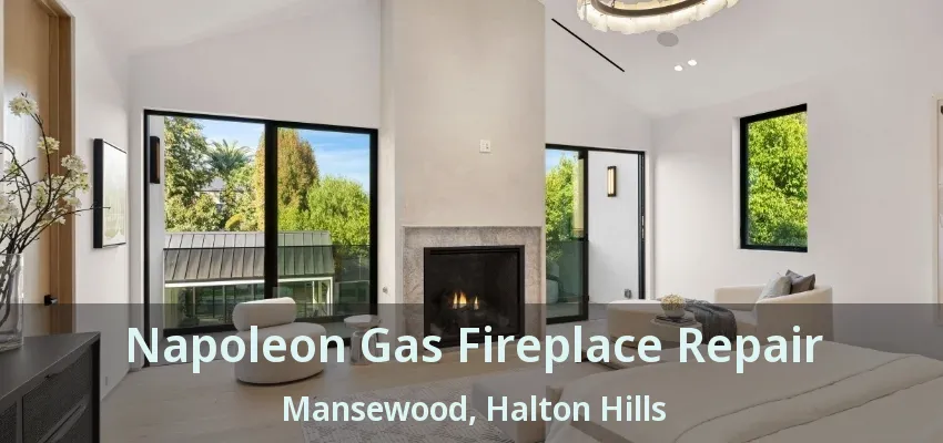 Napoleon Gas Fireplace Repair Mansewood, Halton Hills - ON Napoleon Gas Fireplace Repair Mansewood, Halton Hills - ON