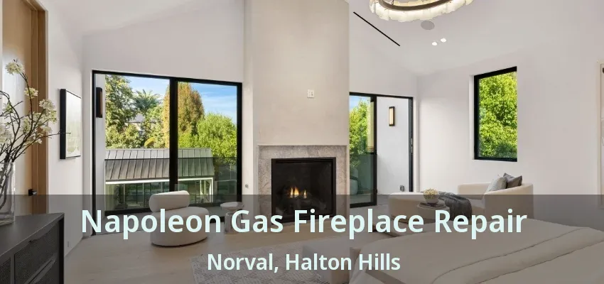 Napoleon Gas Fireplace Repair Norval, Halton Hills - ON