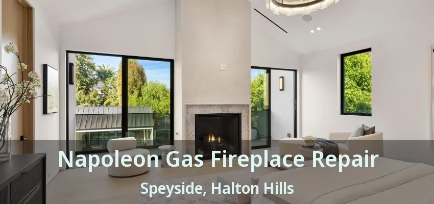 Napoleon Gas Fireplace Repair Speyside, Halton Hills - ON Napoleon Gas Fireplace Repair Speyside, Halton Hills - ON