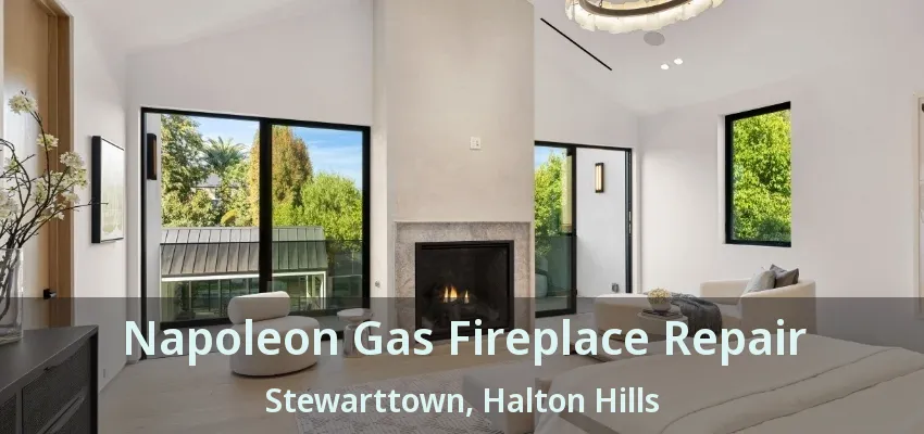 Napoleon Gas Fireplace Repair Stewarttown, Halton Hills - ON Napoleon Gas Fireplace Repair Stewarttown, Halton Hills - ON