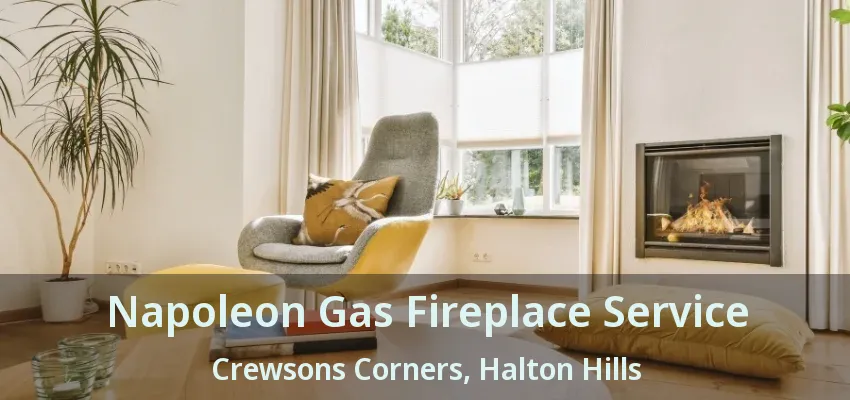 Napoleon Gas Fireplace Service Crewsons Corners, Halton Hills - ON