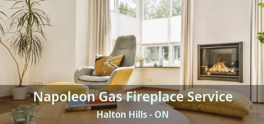 Napoleon Gas Fireplace Service Halton Hills - ON Napoleon Gas Fireplace Service Halton Hills - ON