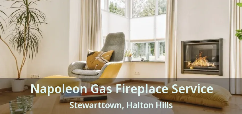 Napoleon Gas Fireplace Service Stewarttown, Halton Hills - ON Napoleon Gas Fireplace Service Stewarttown, Halton Hills - ON
