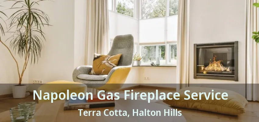 Napoleon Gas Fireplace Service Terra Cotta, Halton Hills - ON Napoleon Gas Fireplace Service Terra Cotta, Halton Hills - ON