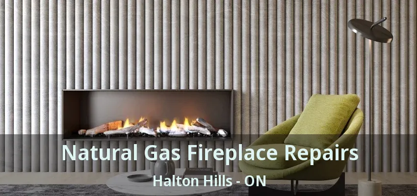 Natural Gas Fireplace Repairs Halton Hills - ON