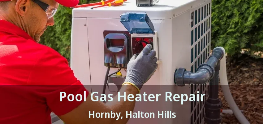 Pool Gas Heater Repair Hornby, Halton Hills - ON Pool Gas Heater Repair Hornby, Halton Hills - ON