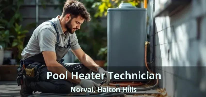 Pool Heater Technician Norval, Halton Hills - ON