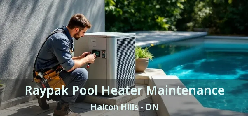 Raypak Pool Heater Maintenance Halton Hills - ON Raypak Pool Heater Maintenance Halton Hills - ON