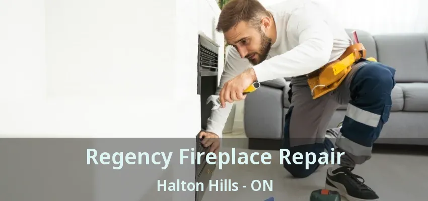 Regency Fireplace Repair Halton Hills - ON