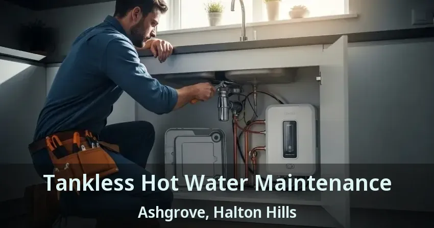 Tankless Hot Water Maintenance Ashgrove, Halton Hills - ON Tankless Hot Water Maintenance Ashgrove, Halton Hills - ON