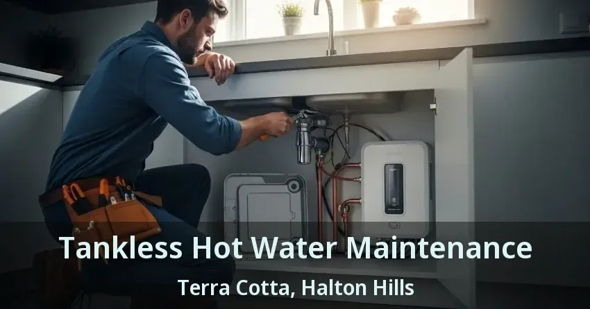 Tankless Hot Water Maintenance Terra Cotta, Halton Hills - ON Tankless Hot Water Maintenance Terra Cotta, Halton Hills - ON