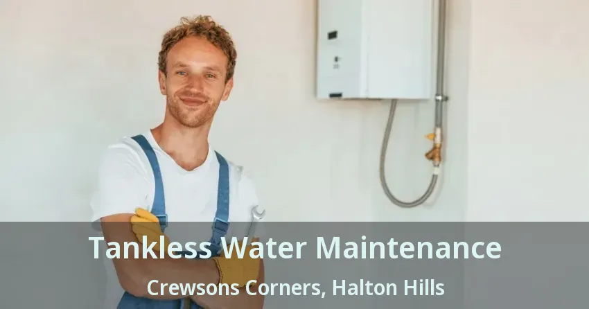 Tankless Water Maintenance Crewsons Corners, Halton Hills - ON