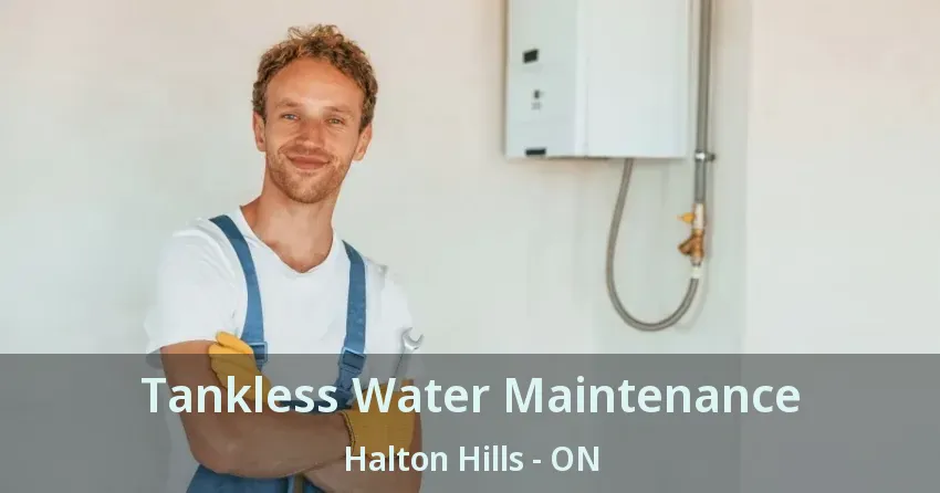 Tankless Water Maintenance Halton Hills - ON