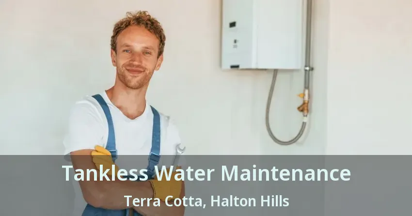 Tankless Water Maintenance Terra Cotta, Halton Hills - ON Tankless Water Maintenance Terra Cotta, Halton Hills - ON