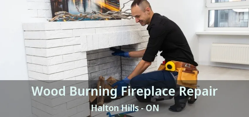 Wood Burning Fireplace Repair Halton Hills - ON