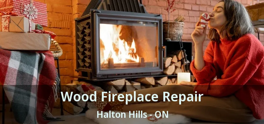 Wood Fireplace Repair Halton Hills - ON